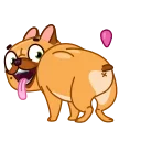 Harry The Frenchie 스티커