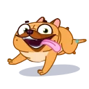 Harry The Frenchie 스티커