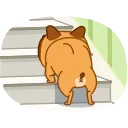 Harry The Frenchie 스티커