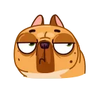 Harry The Frenchie 스티커