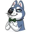 Tusky Husky 스티커