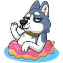 Tusky Husky 스티커