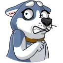 Tusky Husky 스티커