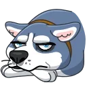 Tusky Husky 스티커