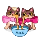 Cat Valentine 스티커