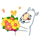 Dwight Rhino 스티커