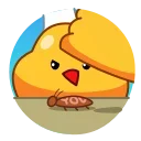 Cocky Cook 스티커