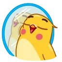 Yellow Boy 스티커