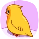 Yellow Boy 스티커